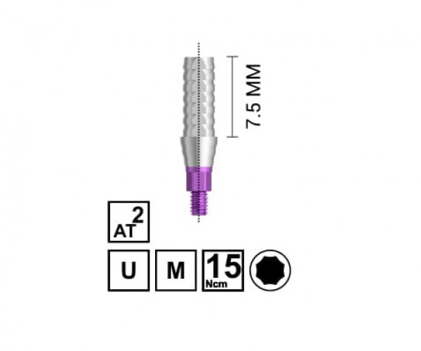 RV TITANIUM TEMPORARY ABUTMENT [SINGLE]