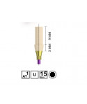 RV PMMA TEMPORARY ABUTMENT [SINGLE]