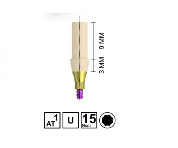 RV PMMA TEMPORARY ABUTMENT [SINGLE]