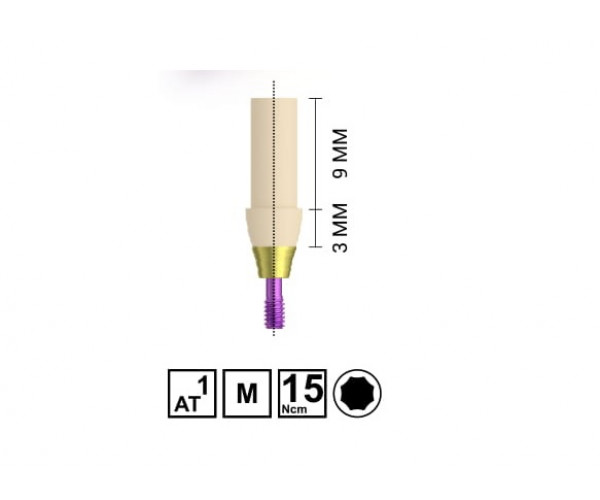 RV PMMA TEMPORARY ABUTMENT [MULTIPLE]