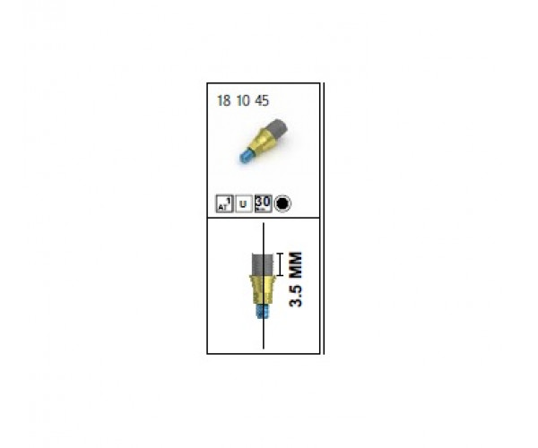 RV TITANIUM BASE ABUTMENT [SINGLE]