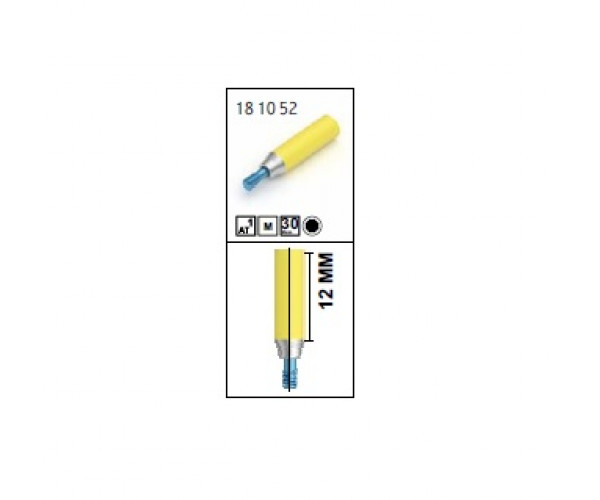 RV GOLD ABUTMENT [MULTIPLE]