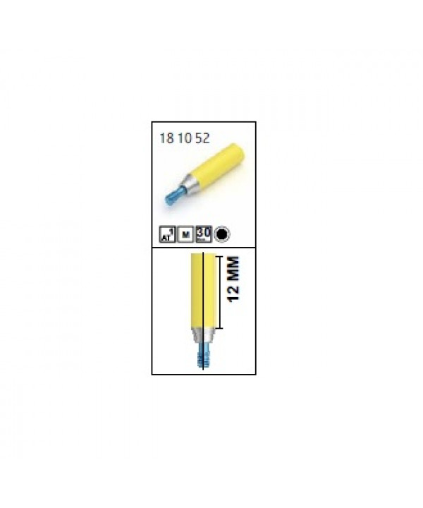 RV GOLD ABUTMENT [MULTIPLE]