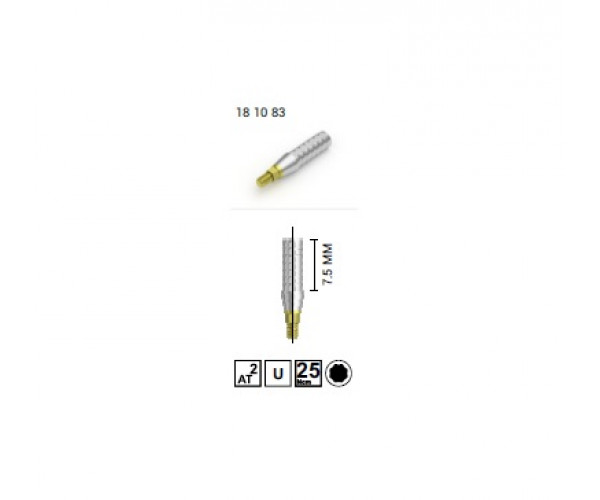 MV TITANIUM TEMPORARY ABUTMENT [SINGLE]