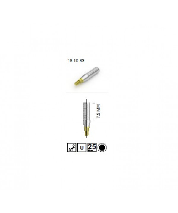 MV TITANIUM TEMPORARY ABUTMENT [SINGLE]