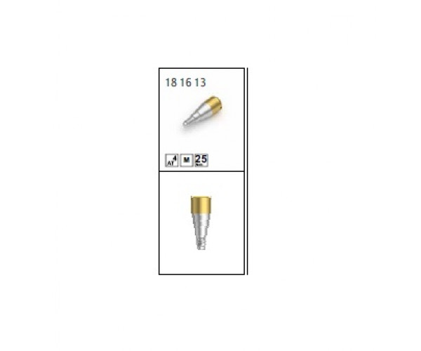 RV ABUTMENT LOCATOR© [4.0mm]