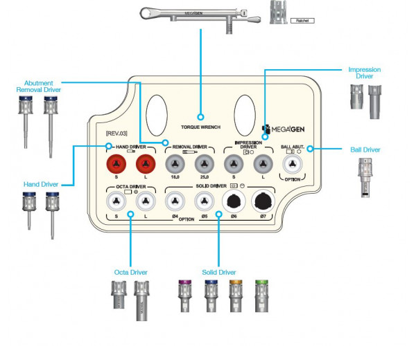 ANYRIDGE PROSTHETIC KIT