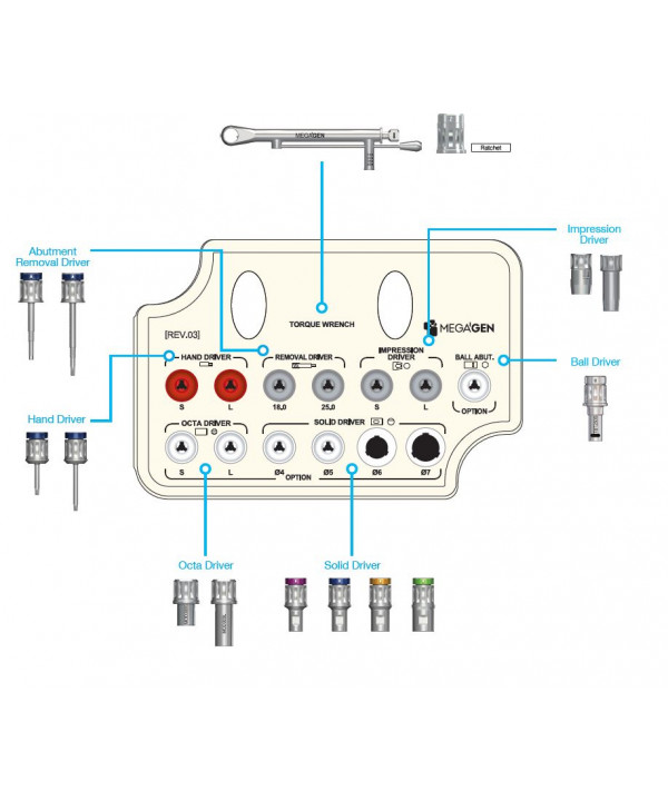 ANYRIDGE PROSTHETIC KIT