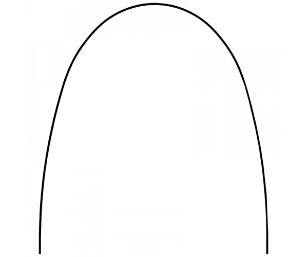 SUPERELASTIC NITI ARCH RECTANGULAR .016x.022 (10 ARCHWIRES) INF (LOWER) EUROPA II- PROCLINIC