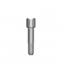 ABUTMENT SCREW (MN)