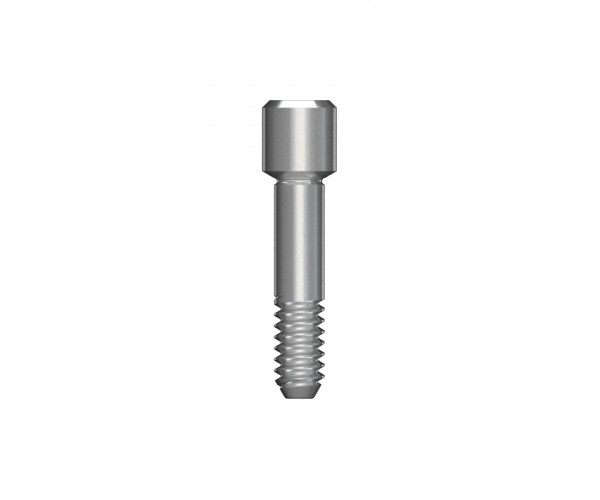 ABUTMENT SCREW (MN)