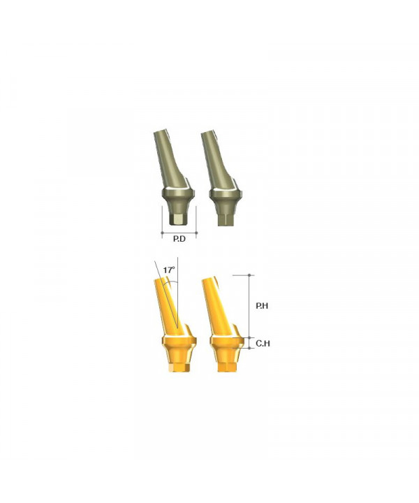 (MN) ANGLED ABUTMENT Ø3.5/ C=2.5/ 15˚/ HEX